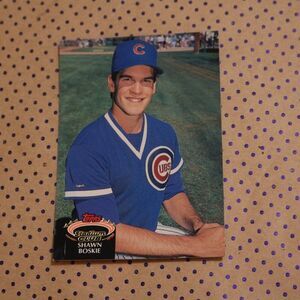 Shawn Boskie #284 Baseball Card